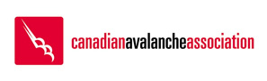 Logoavalanche Association